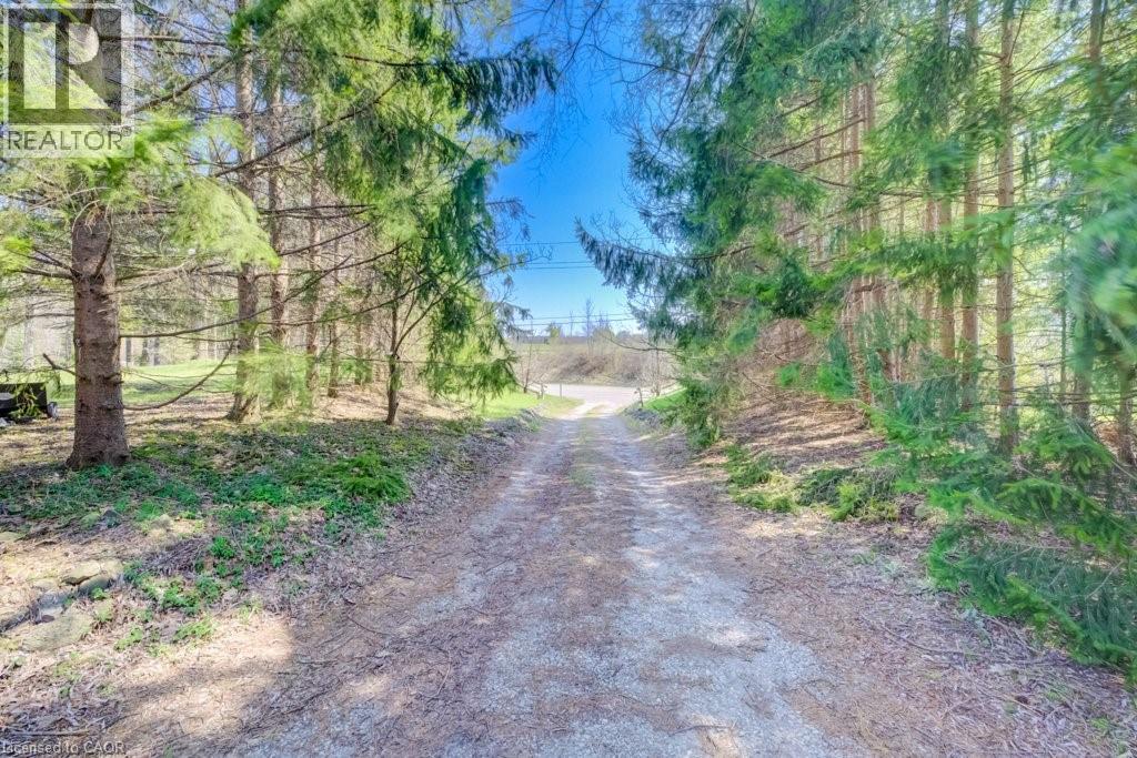 1346 WRIGLEY Road thumbnail 40