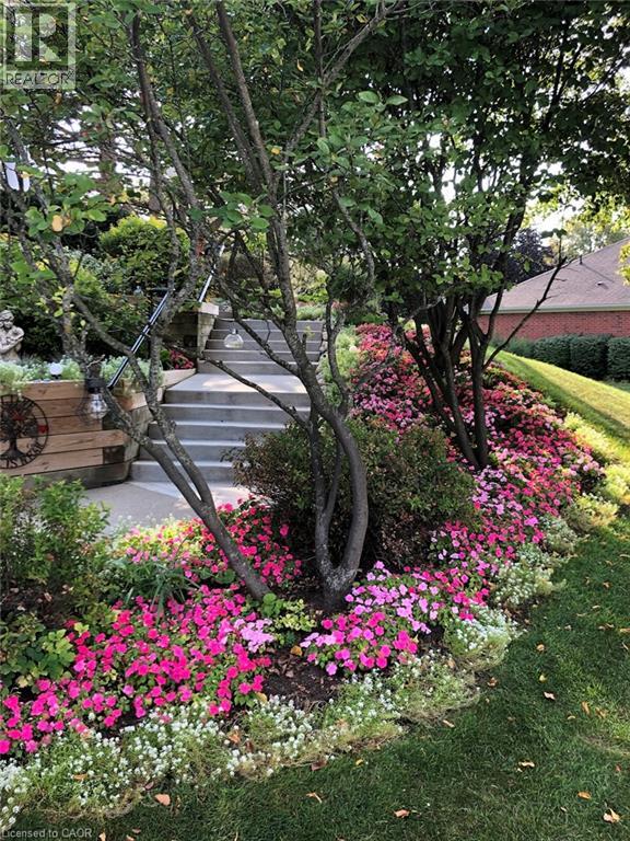 341 GEORGE Street N Unit# 4 thumbnail 40