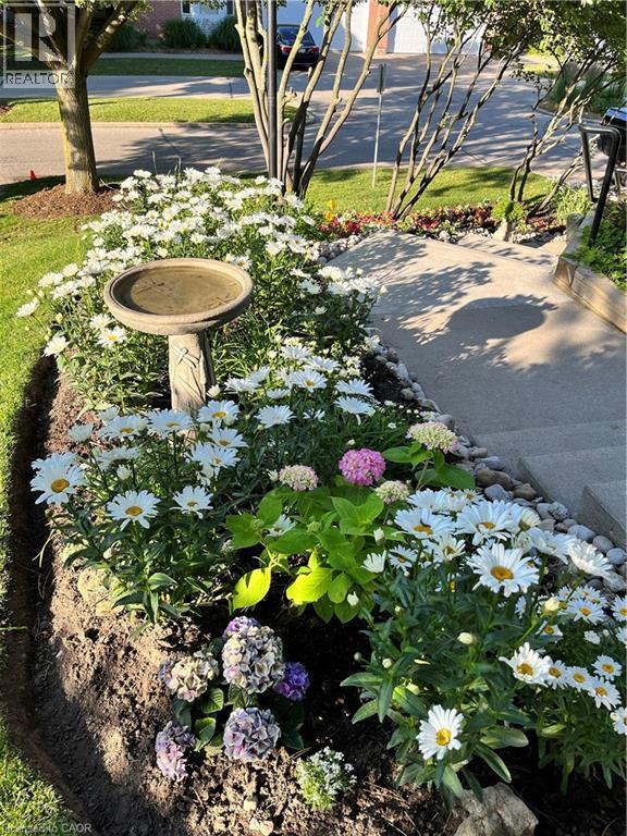 341 GEORGE Street N Unit# 4 thumbnail 41