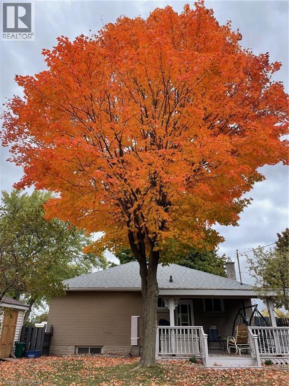 1034 WINTERHALT Avenue thumbnail 39