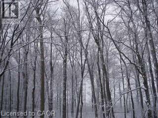 103 GLAZEBROOK Crescent thumbnail 48