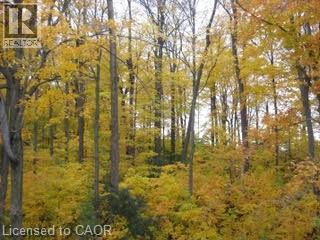 103 GLAZEBROOK Crescent thumbnail 47