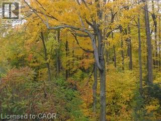 103 GLAZEBROOK Crescent thumbnail 46