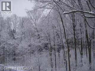 103 GLAZEBROOK Crescent thumbnail 49