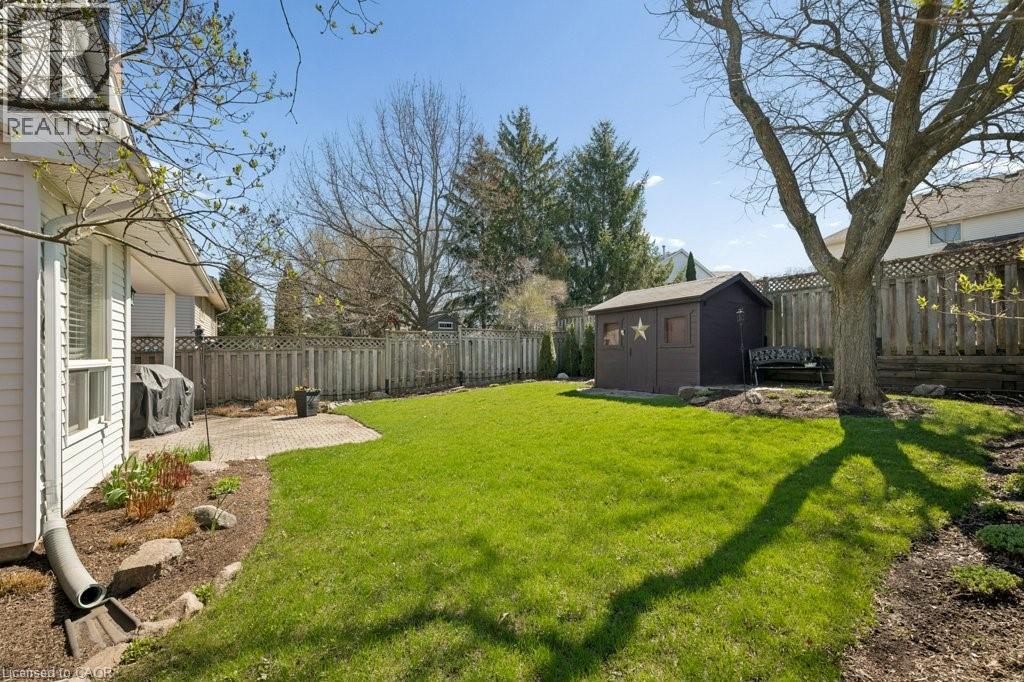 517 WESTFIELD Drive thumbnail 49