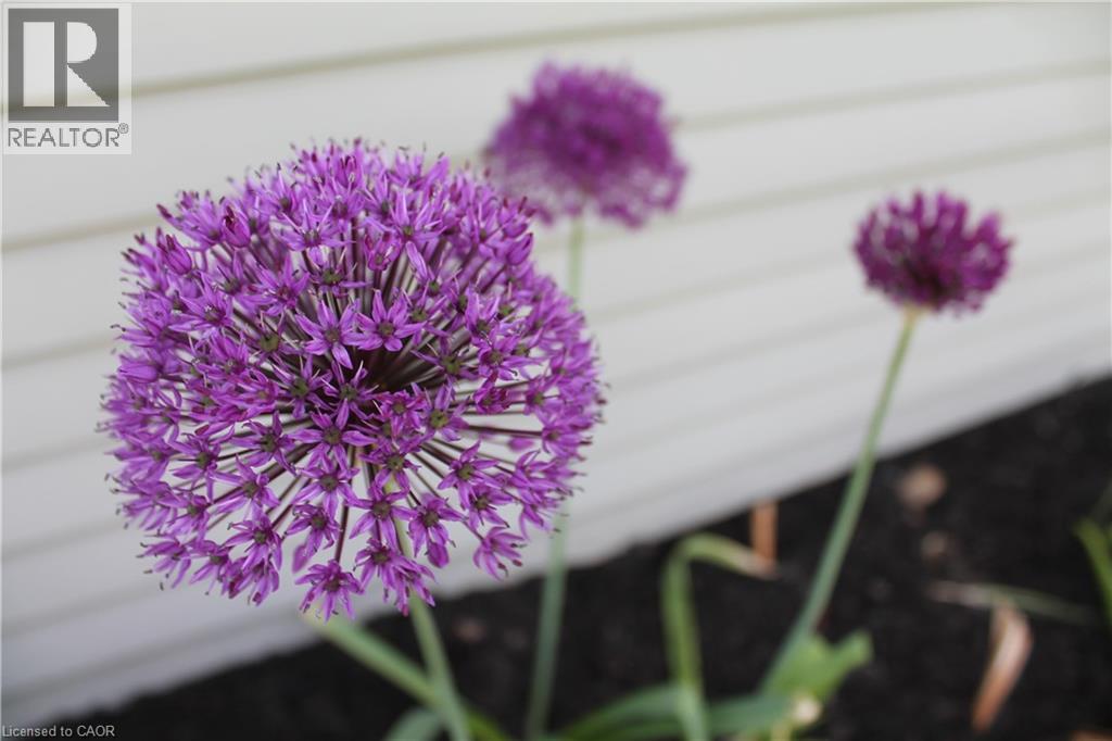 449 GREENFIELD Avenue thumbnail 41