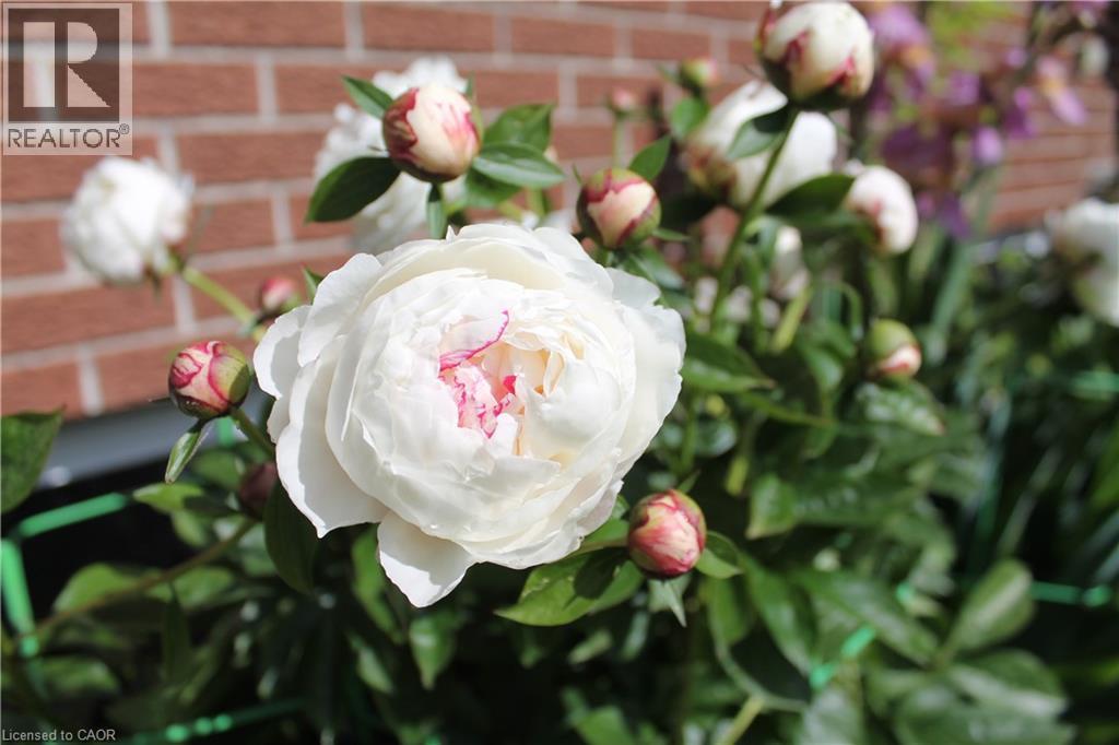 449 GREENFIELD Avenue thumbnail 40