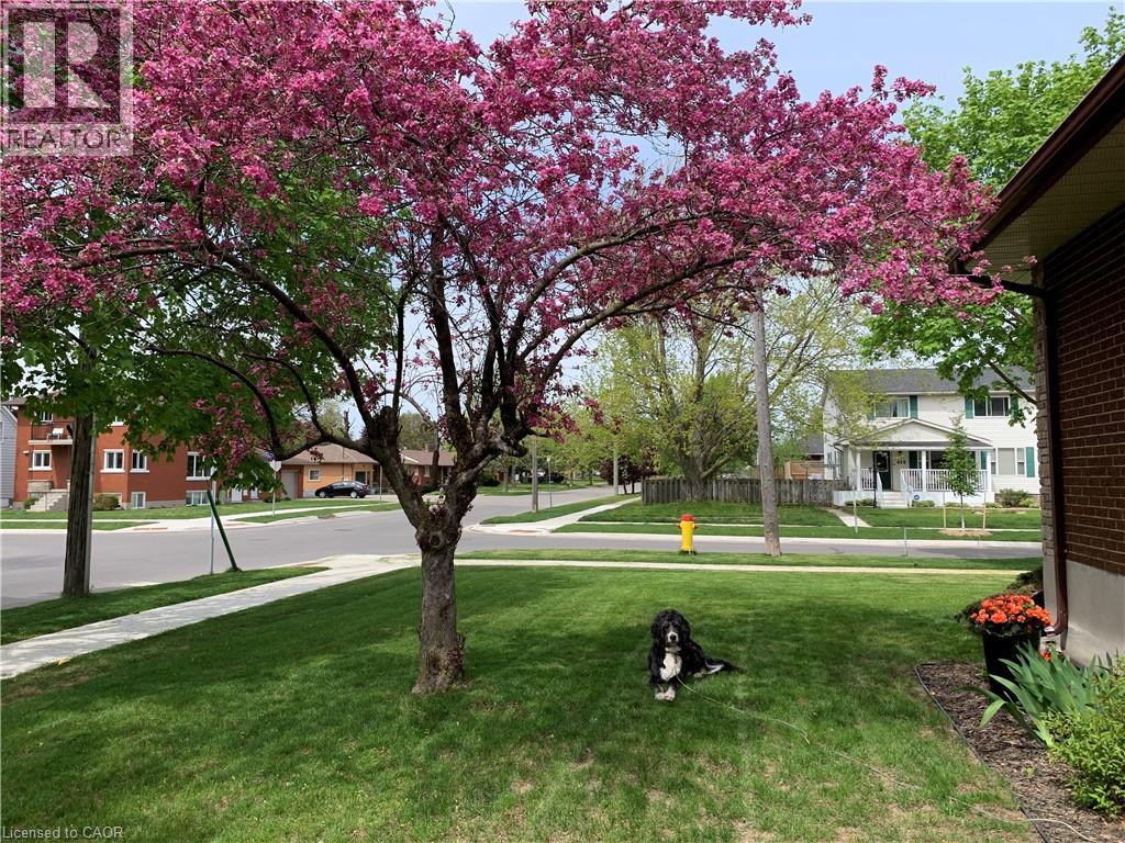 449 GREENFIELD Avenue thumbnail 44