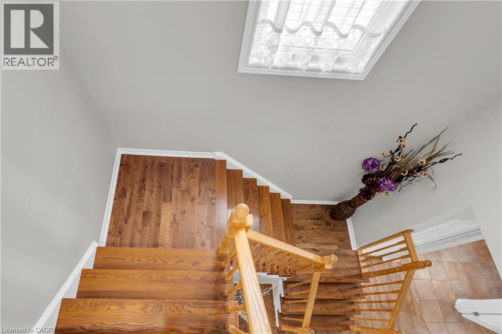 22 DAHLIA Street thumbnail 29