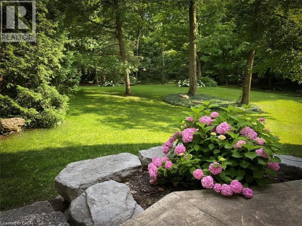 3314 SANDHILLS Road thumbnail 38