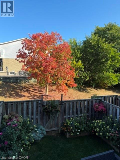 80 OLD COUNTRY Drive Unit# 2 thumbnail 31