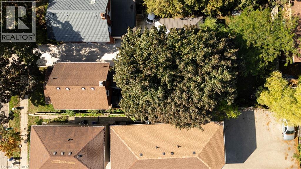 50 WALNUT Street thumbnail 31