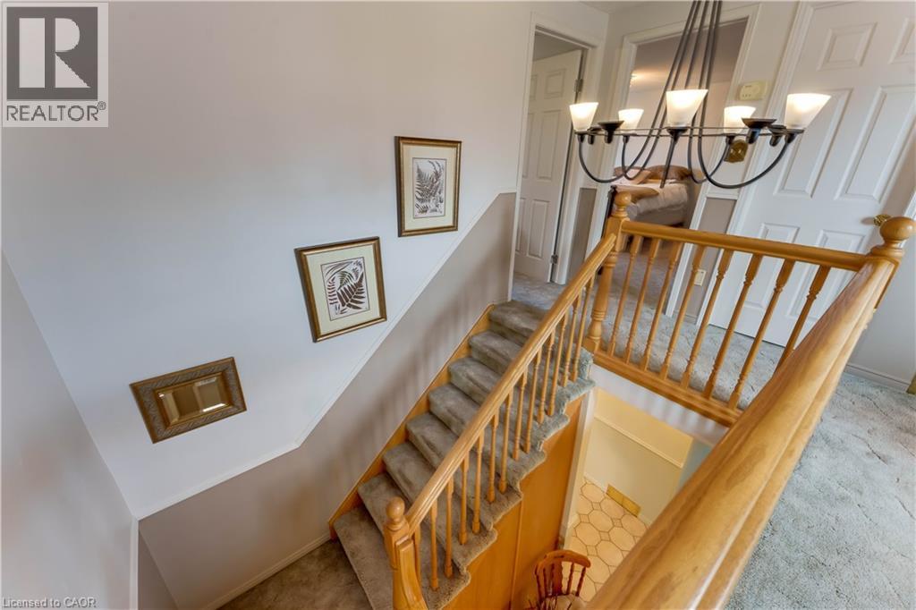 11 DARLINGTON Place thumbnail 22