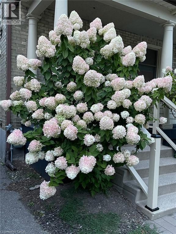 18 THERESA Street thumbnail 47