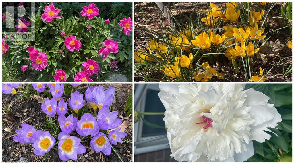 312 FARADAY Court thumbnail 49