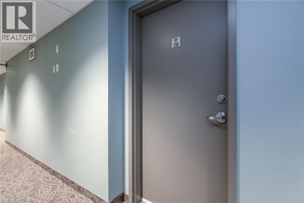 175 COMMONWEALTH Street Unit# 210 thumbnail 30