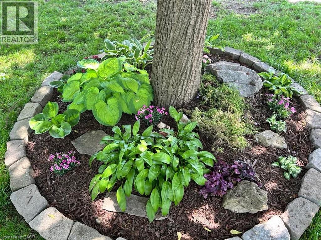 218 BLAIR Road thumbnail 32