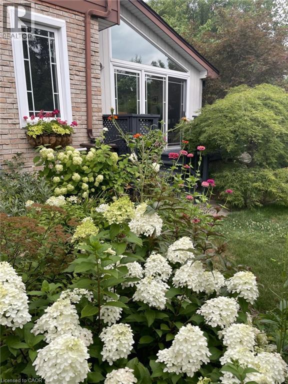 18 RIPLEY Crescent thumbnail 46