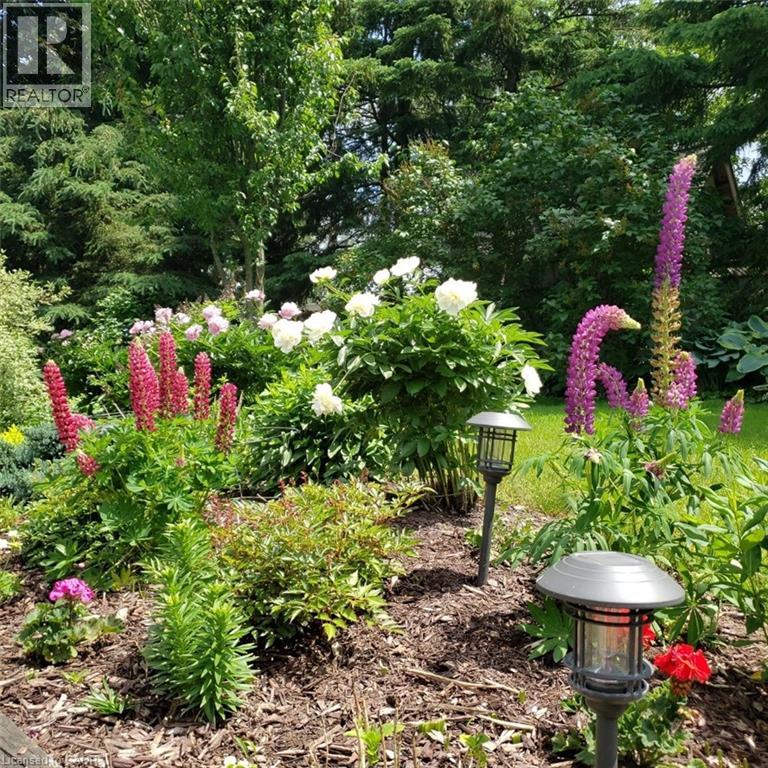 47 HUNTINGTON Place thumbnail 24