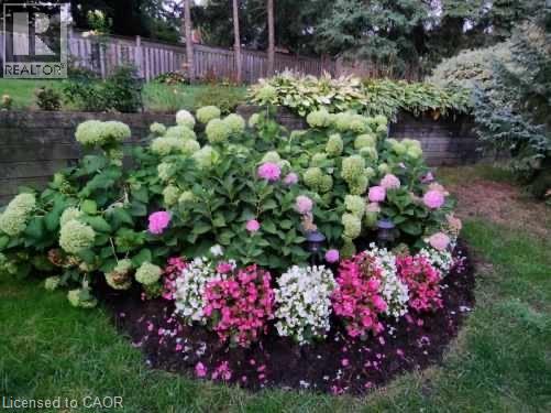 47 HUNTINGTON Place thumbnail 25