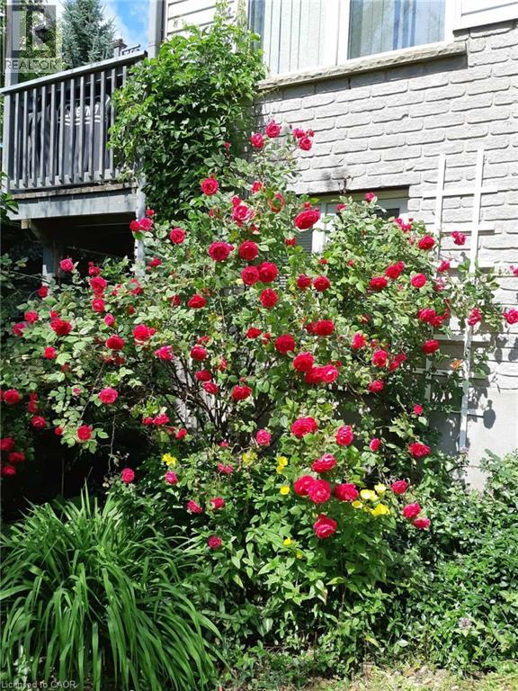 663 HEATHCLIFFE Place thumbnail 37