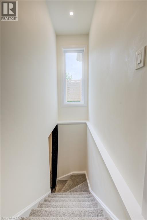 38 EUCLID Avenue thumbnail 24