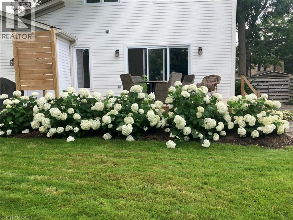 38 EUCLID Avenue thumbnail 44