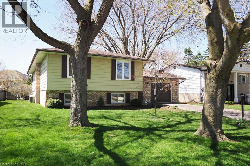 35 REINER Crescent thumbnail 4