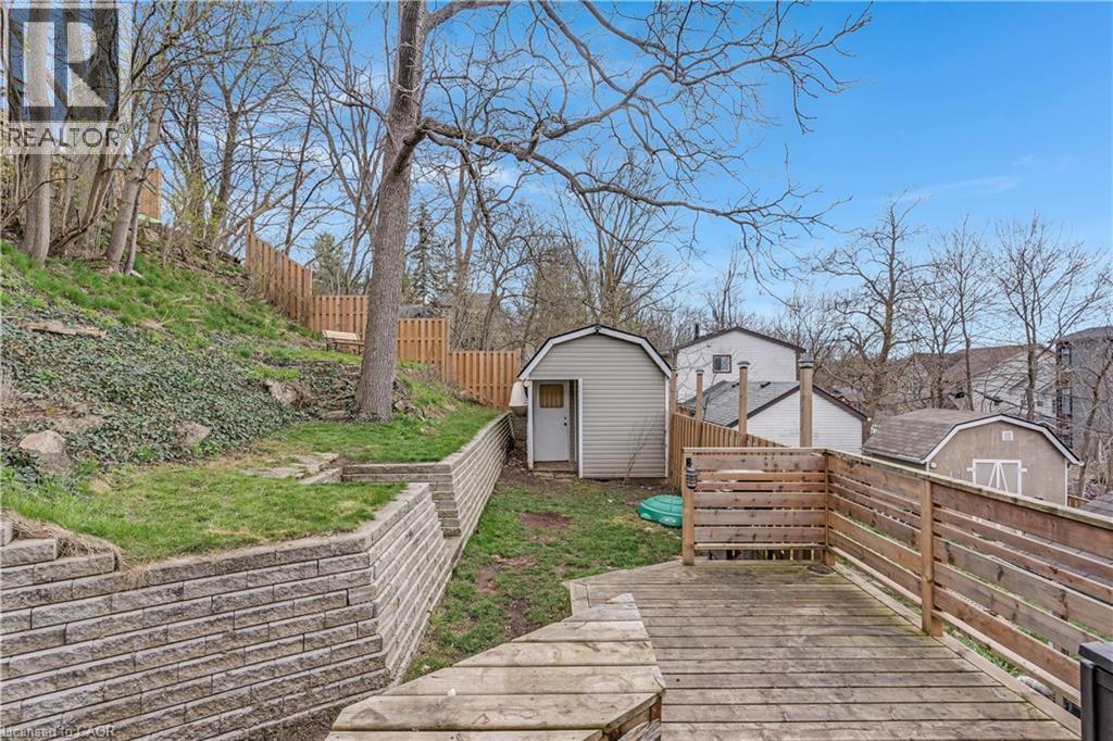 19 BIRCH Street thumbnail 37