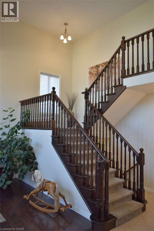 50 FERRIS Drive thumbnail 5