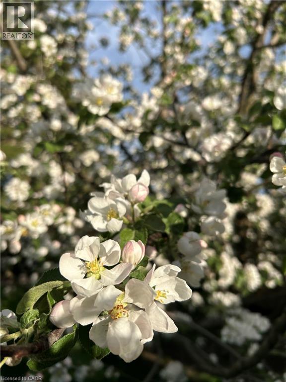 123 FIFTH Avenue thumbnail 46