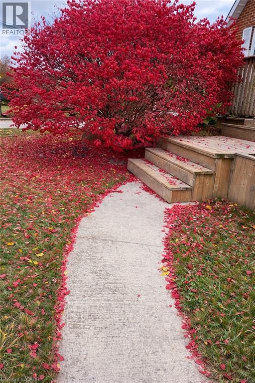 123 FIFTH Avenue thumbnail 44