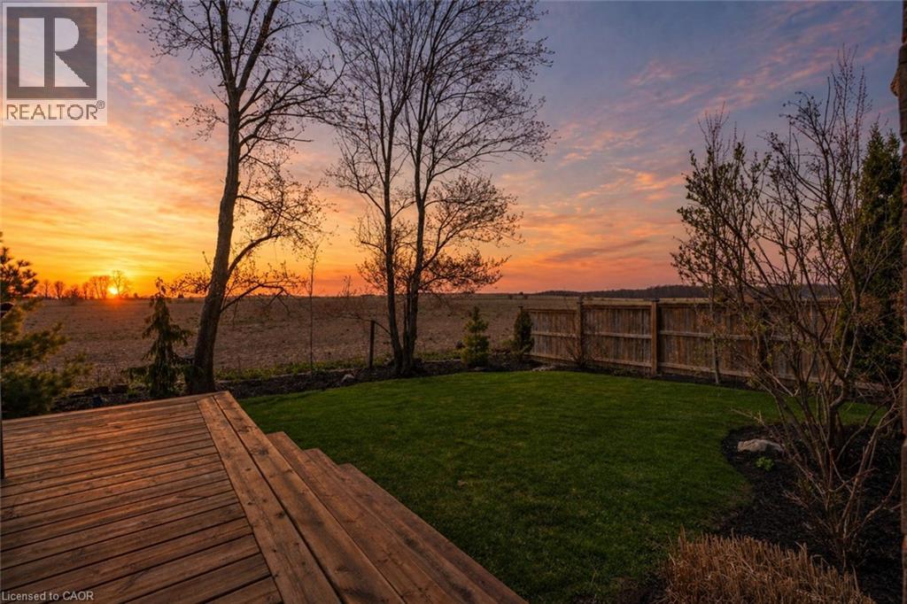 85 MICHAEL MYERS Road thumbnail 48