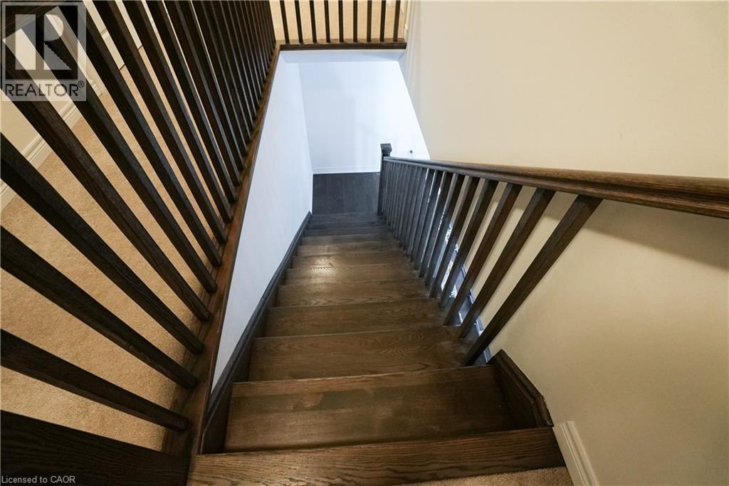 10 GEORGINA Street thumbnail 15