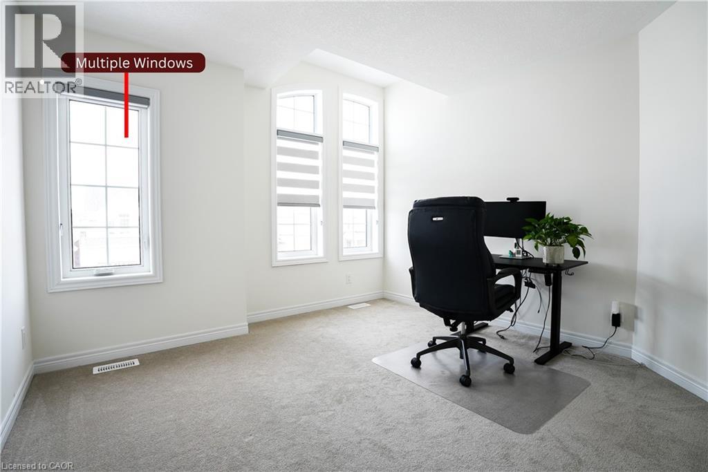 10 GEORGINA Street thumbnail 26