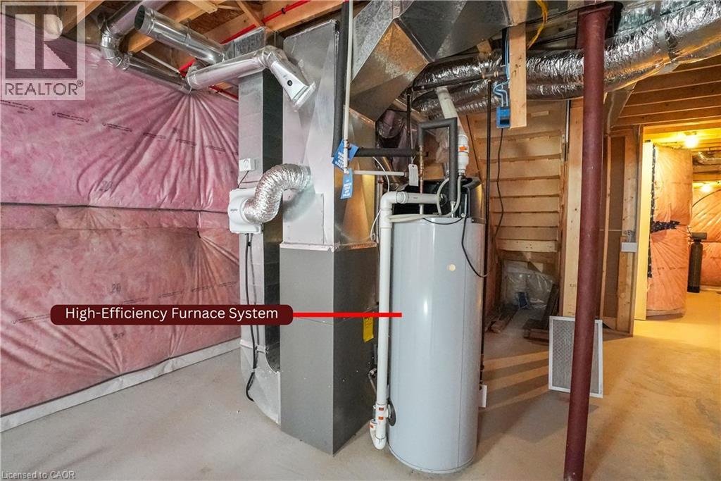 10 GEORGINA Street thumbnail 30