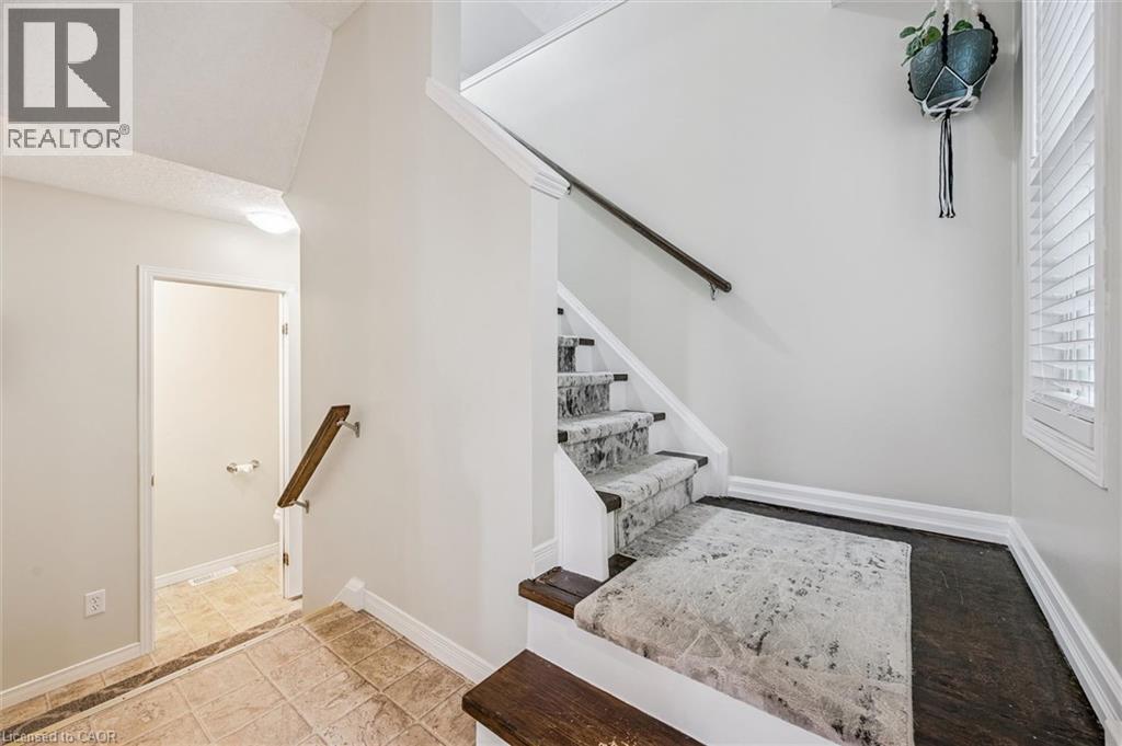 51 CANNES Street thumbnail 14