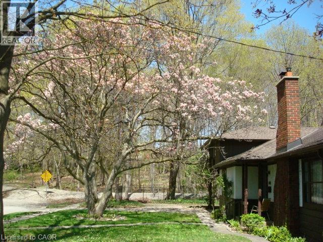 135 GLENFOREST Road thumbnail 4