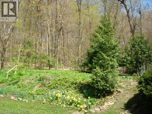 135 GLENFOREST Road thumbnail 9