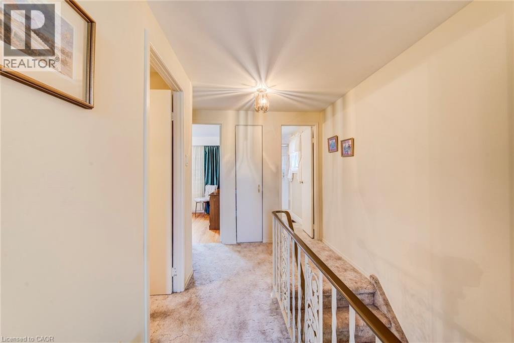 17 FOREST GLEN Court thumbnail 24