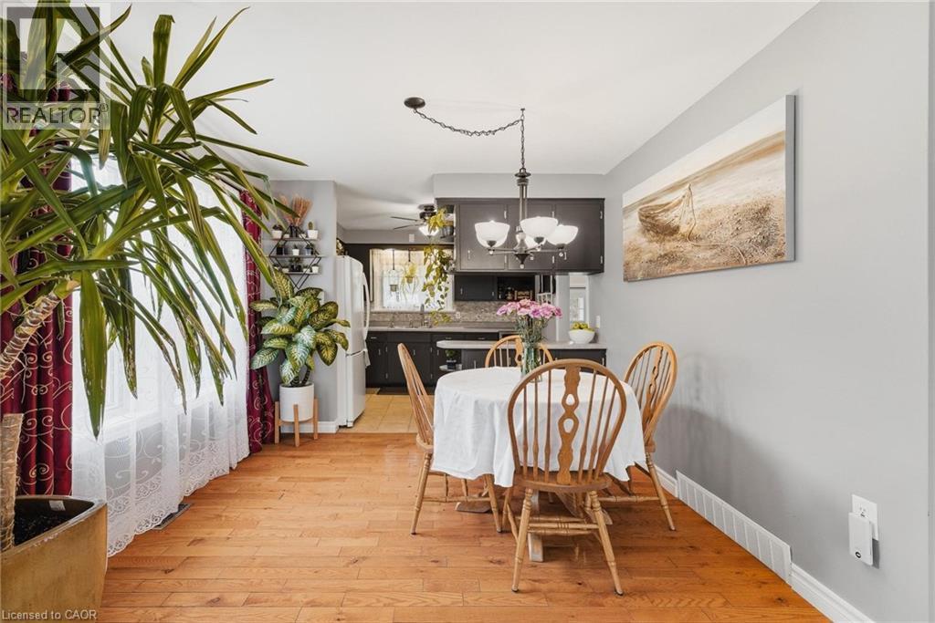 120 ELGIN Crescent thumbnail 5