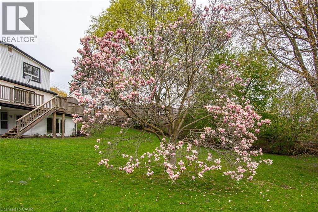 143 BRIDGEPORT Road thumbnail 13