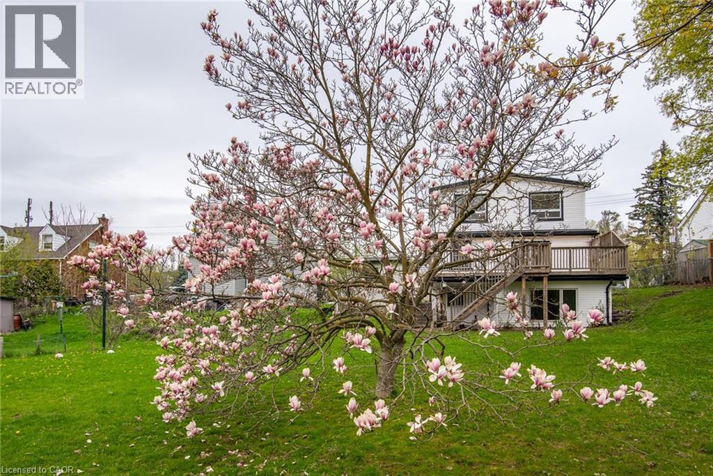 143 BRIDGEPORT Road thumbnail 15