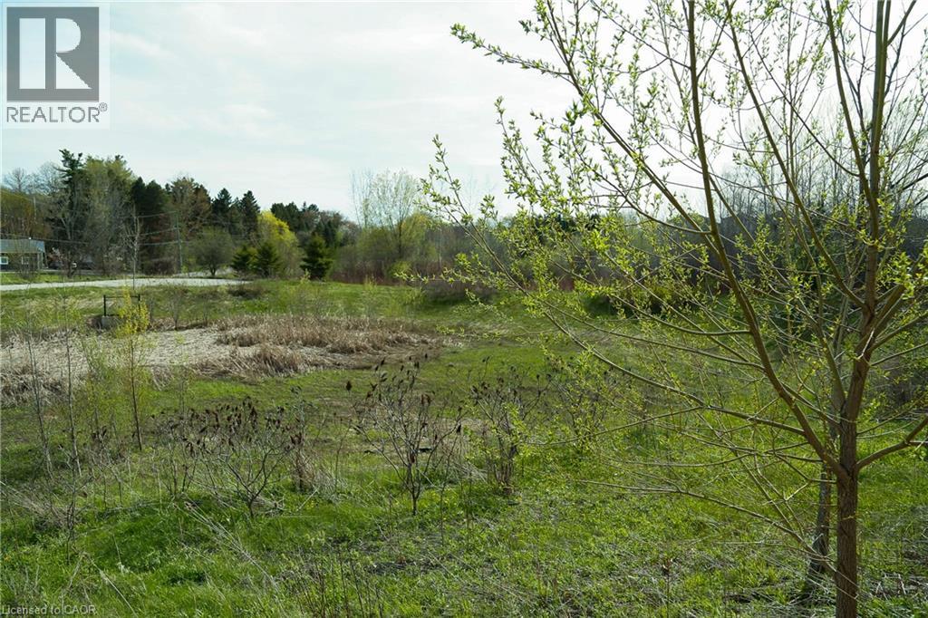 477 BLAIR CREEK Drive thumbnail 10