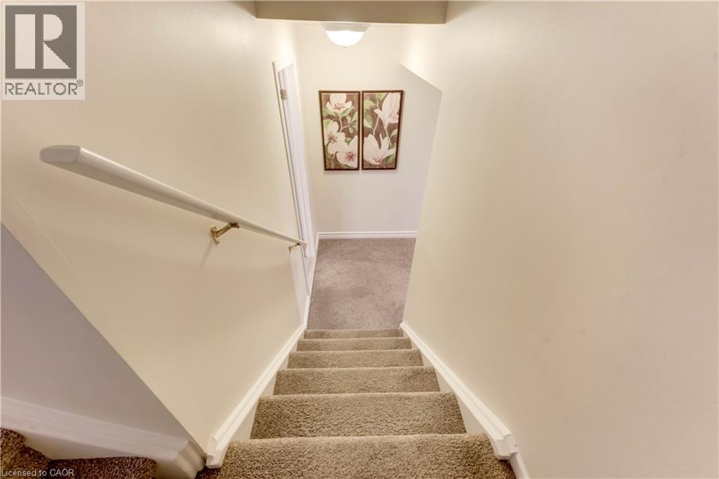 109 ASHBERRY Place thumbnail 34