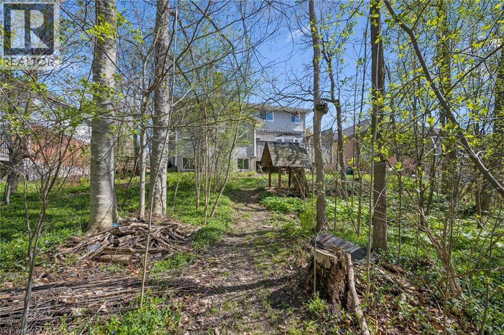 363 NORTHLAKE Drive thumbnail 49