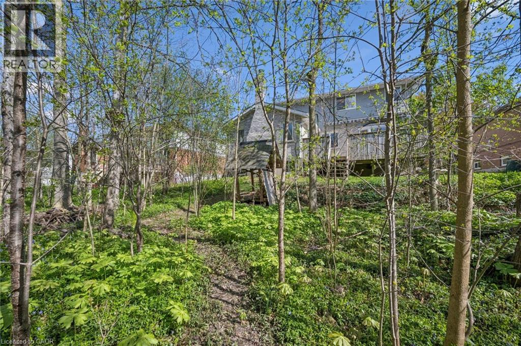 363 NORTHLAKE Drive thumbnail 50