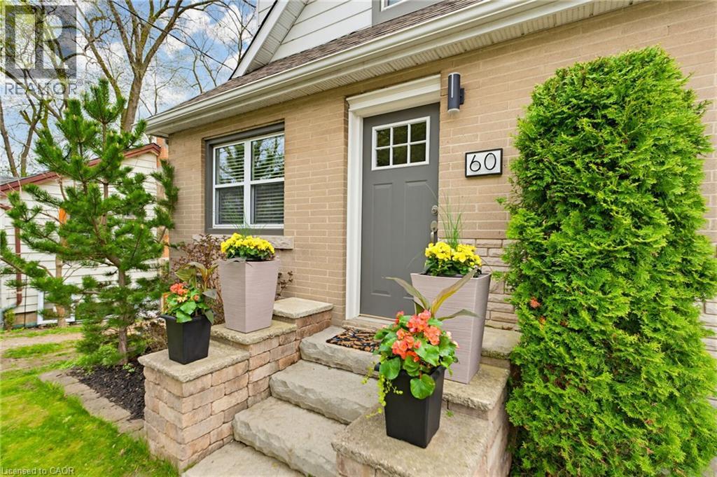 60 AVENUE Road thumbnail 3