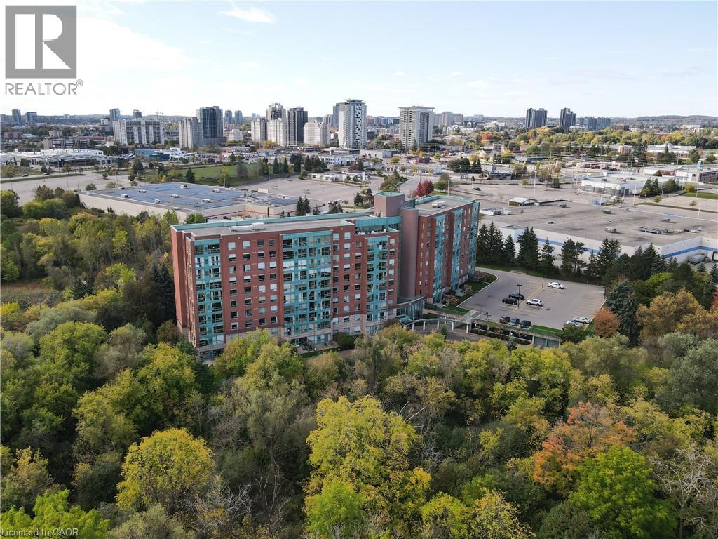 55 BLUE SPRINGS Drive Unit# PH12 thumbnail 49