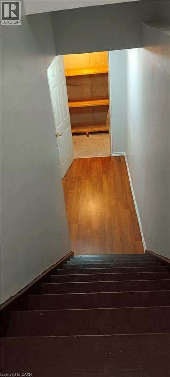 520 CHABLIS Drive thumbnail 36
